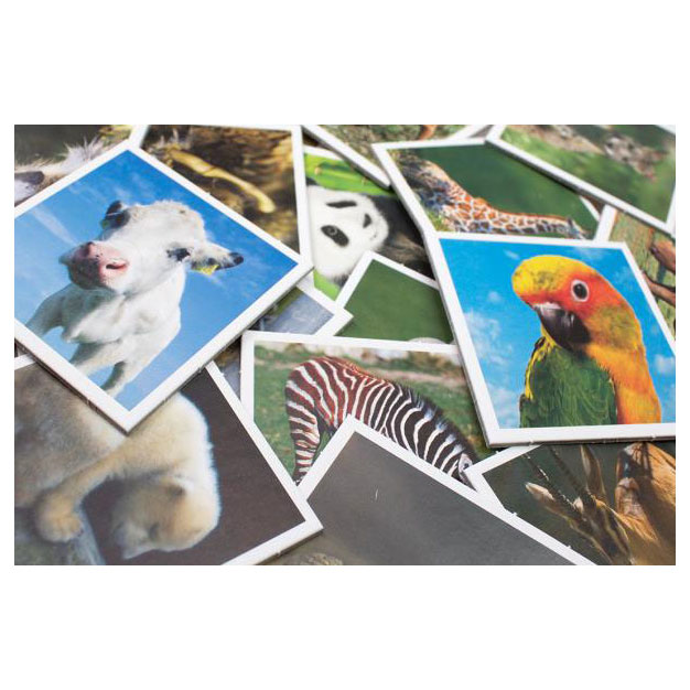 Memo Babydieren - Afbeelding 2