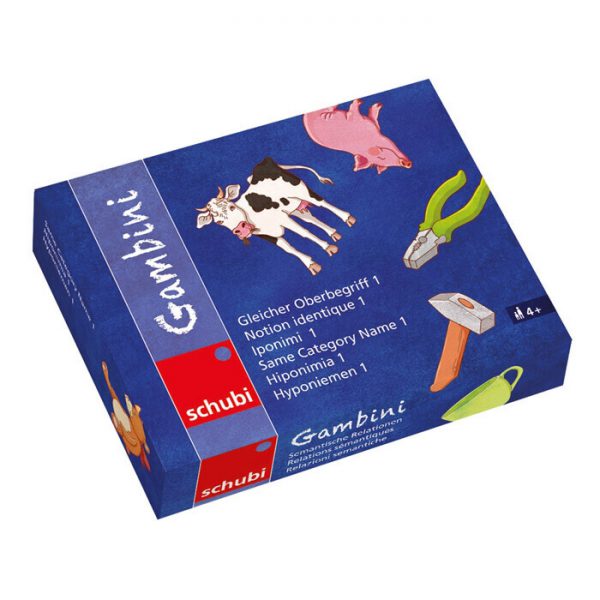Gambini: Categoriseren 1