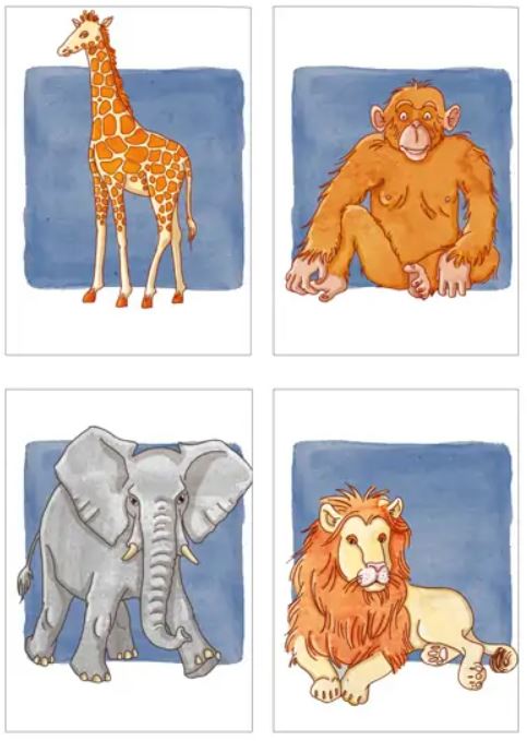 Gambini: Categoriseren 2 - Afbeelding 2