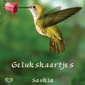 Gelukskaartjes