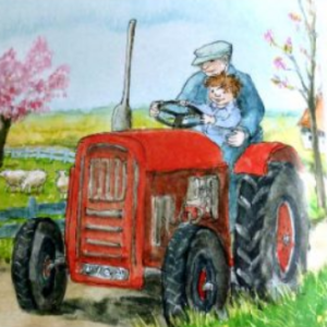 Naar De Kinderboerderij Voorleesverhalen