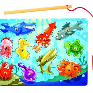 Houten Magnetisch Visspel