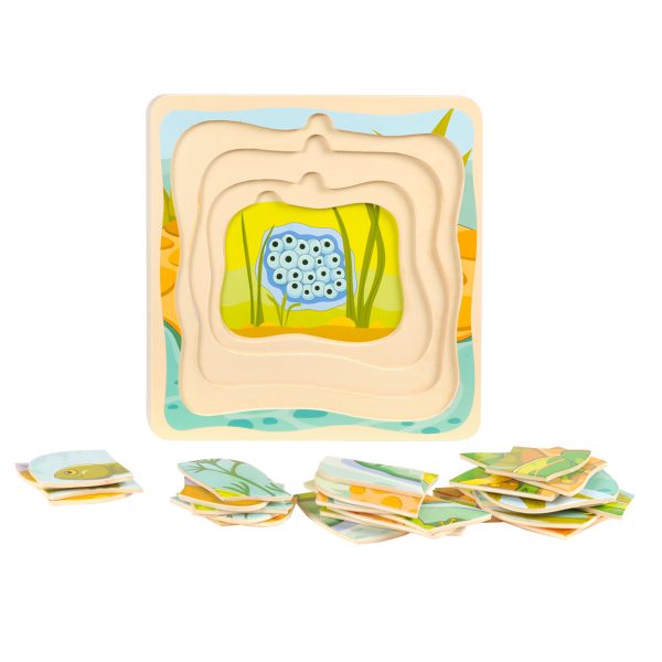 Lagenpuzzel Levenscyclus Kikker - Afbeelding 5