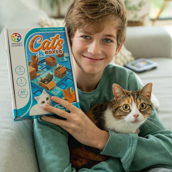 Cats And Boxes - Afbeelding 5