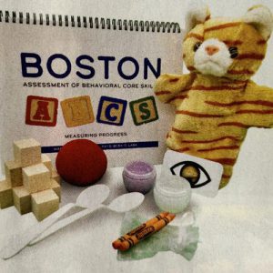 Boston ABCS Test Kit